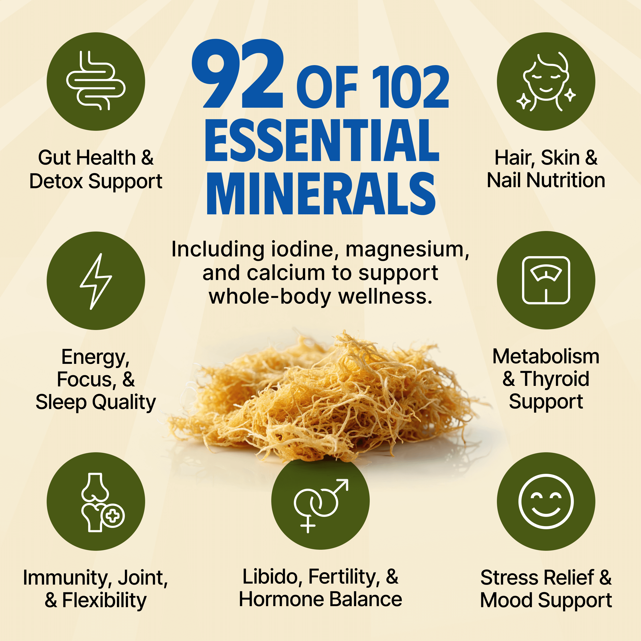 Sea Moss Gel - Golden