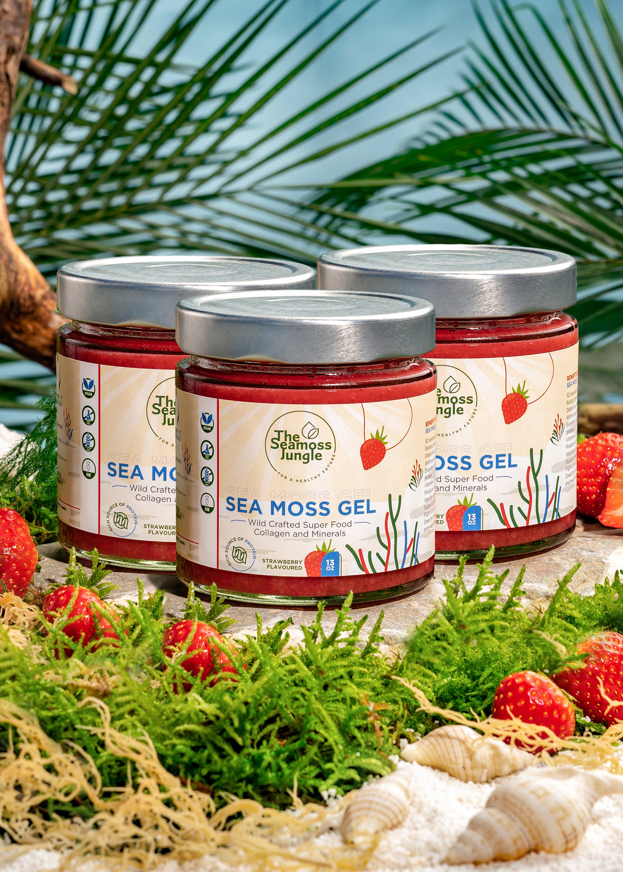 Sea Moss Gel - 3 Jar Bundle